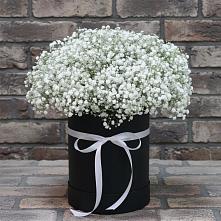 Цветочная композиция из Гипсофила в шляпной коробке #REPLACE_PRED# Поселок НИИРП